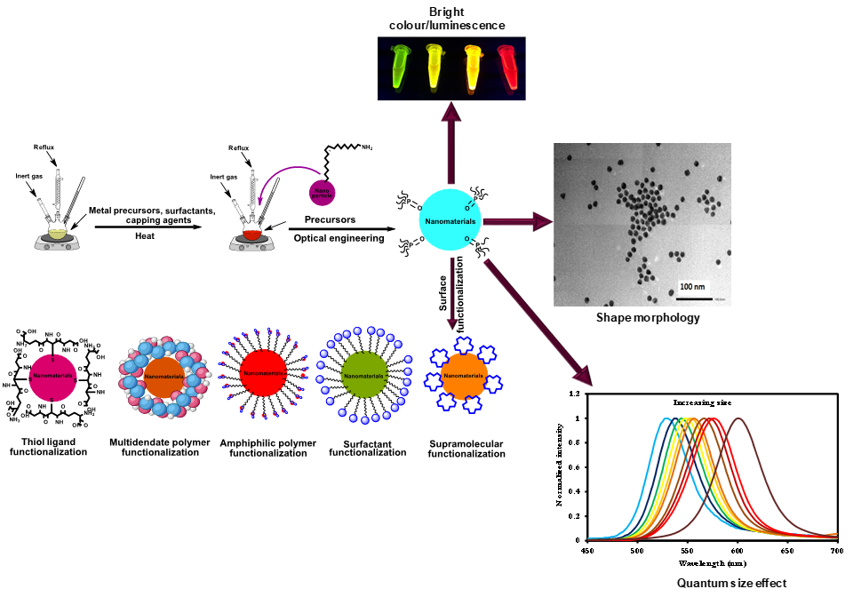 Quantum Dot Engineering