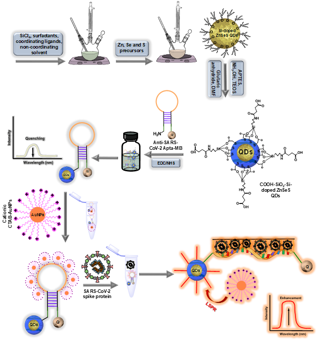 Metal-enhanced Fluorescence